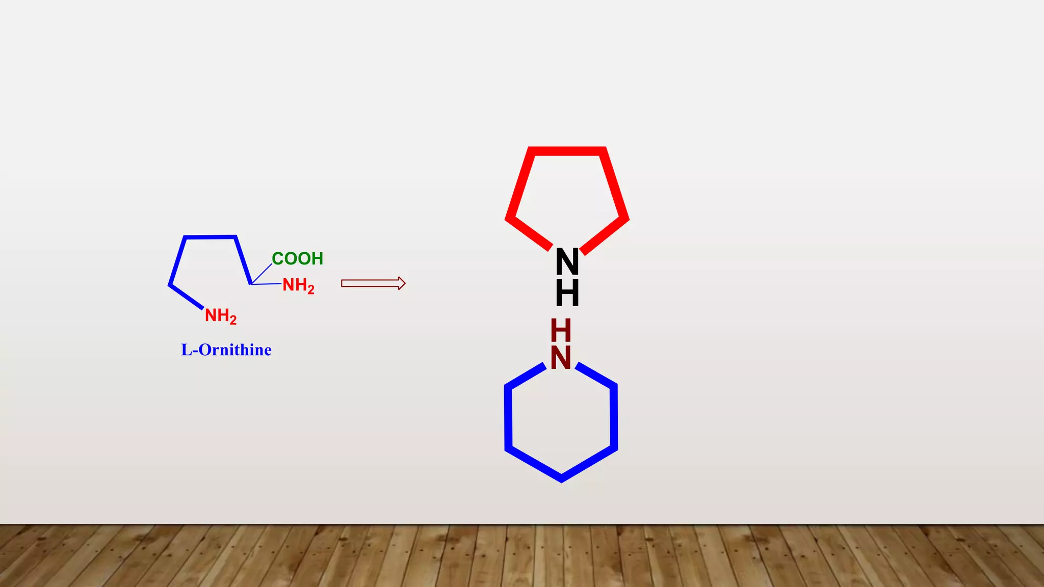 N
H
H
N
L-Ornithine
NH2
NH2
COOH
 