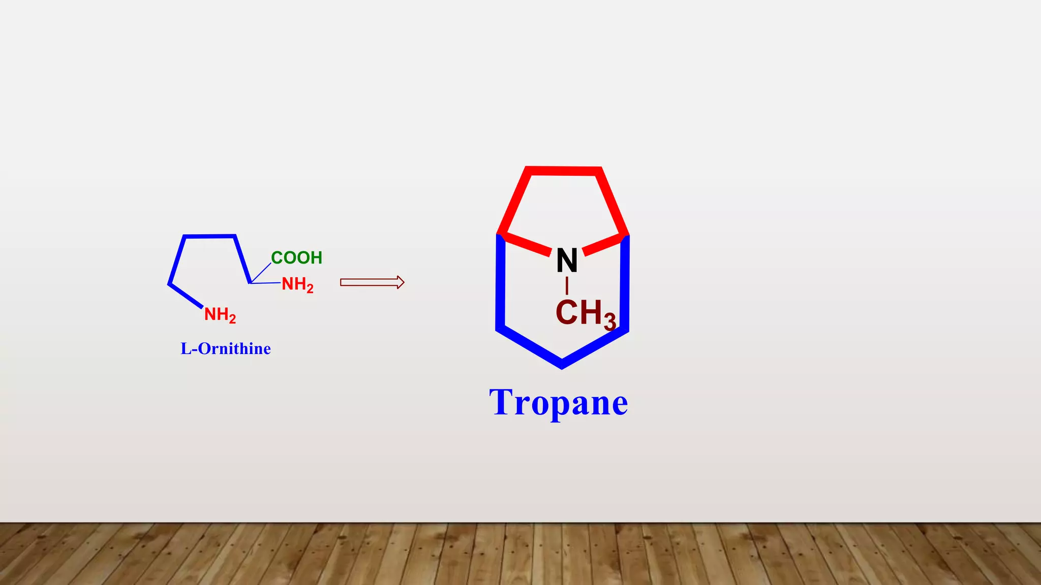 Tropane
N
CH3
L-Ornithine
NH2
NH2
COOH
 