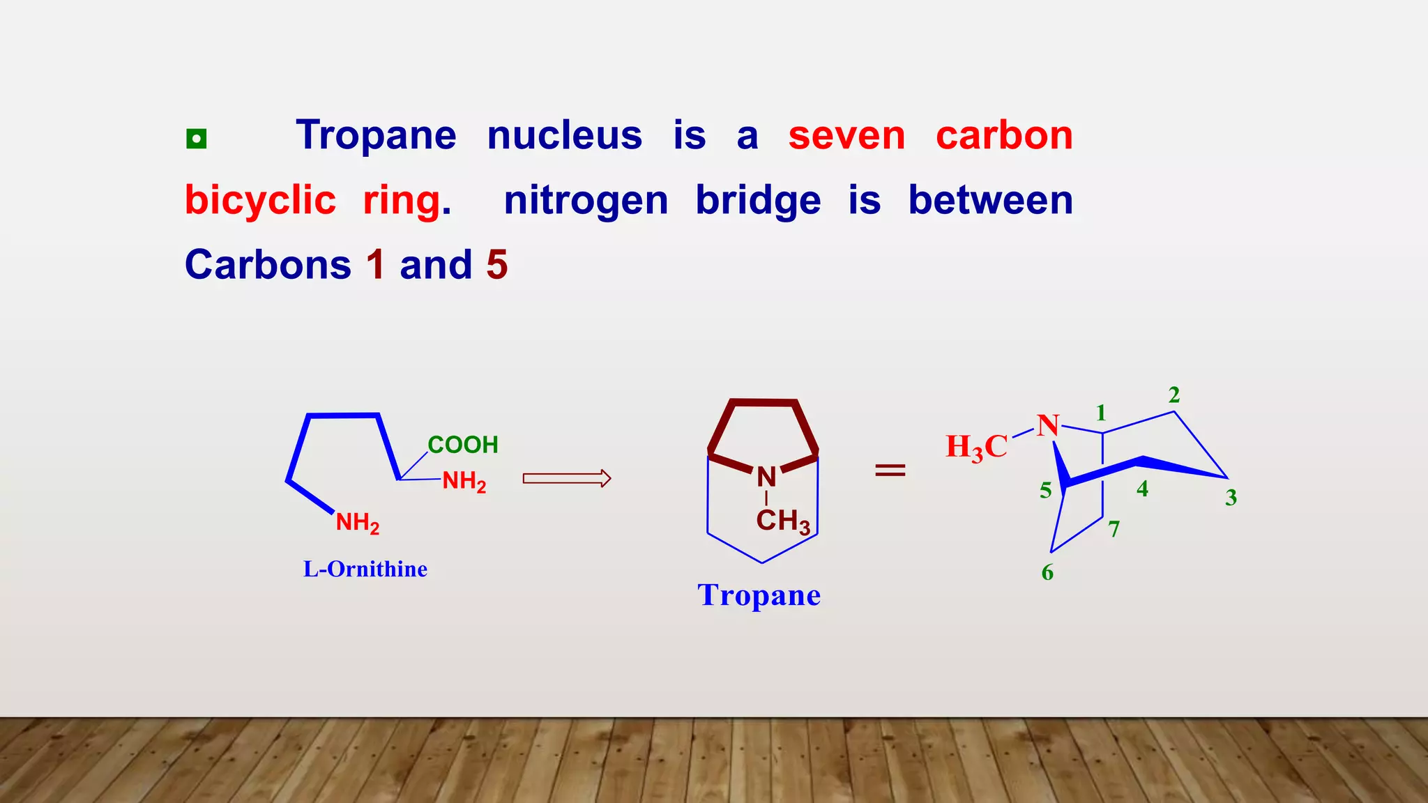 L-Ornithine
NH2
NH2
COOH
Tropane
N
N
H3C
1
2
3
4
5
6
7
CH3
=
◘ Tropane nucleus is a seven carbon
bicyclic ring. nitrogen bridge is between
Carbons 1 and 5
 