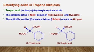 5-Tropane_Akaloids_.pptx