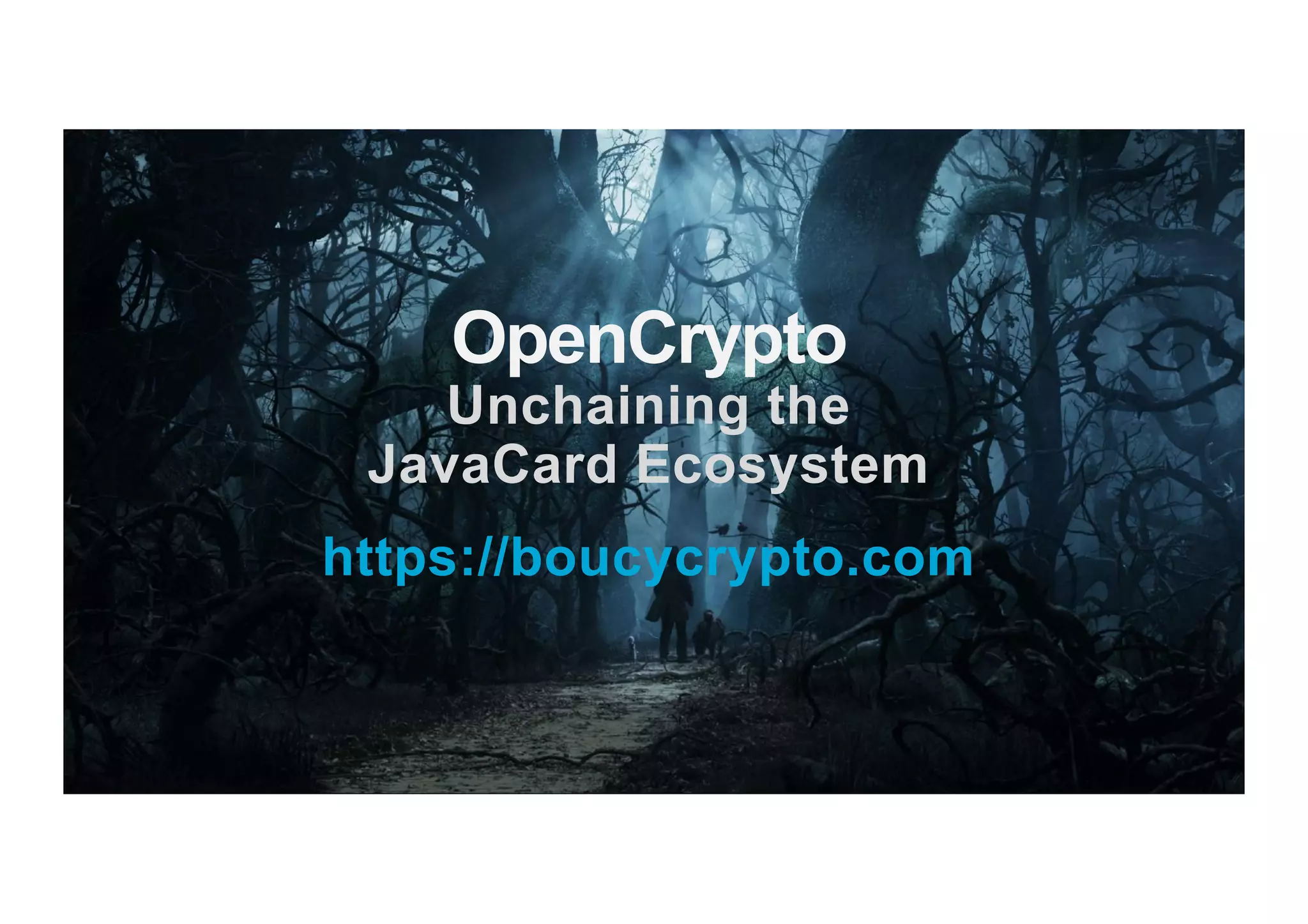 OpenCrypto Unchaining the JavaCard Ecosystem https://boucycrypto.com 