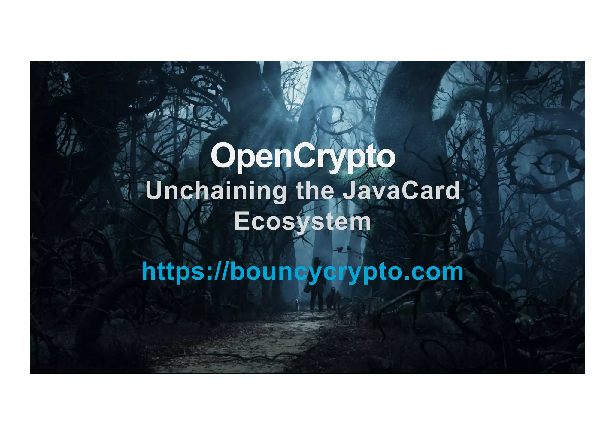 OpenCrypto Unchaining the JavaCard Ecosystem https://bouncycrypto.com 