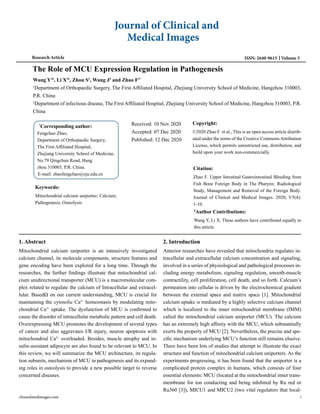 Journal of Clinical and
Medical Images
Volume 5
ISSN: 2640-9615
Research Article
The Role of MCU Expression Regulation in Pathogenesis
Wang Y1#
, Li X1#
, Zhou S1
, Wang J2
and Zhao F1*
1
Department of Orthopaedic Surgery, The First Affiliated Hospital, Zhejiang University School of Medicine, Hangzhou 310003,
P.R. China
2
Department of infectious disease, The First Affiliated Hospital, Zhejiang University School of Medicine, Hangzhou 310003, P.R.
China
*
Corresponding author:
Fengchao Zhao,
Department of Orthopaedic Surgery,
The First Affiliated Hospital,
Zhejiang University School of Medicine,
No.79 Qingchun Road, Hang
zhou 310003, P.R. China.
E-mail: zhaofengchao@zju.edu.cn
Received: 10 Nov 2020
Accepted: 07 Dec 2020
Published: 12 Dec 2020
Copyright:
©2020 Zhao F et al., This is an open access article distrib-
uted under the terms of the Creative Commons Attribution
License, which permits unrestricted use, distribution, and
build upon your work non-commercially.
Citation:
Zhao F. Upper Intestinal Gastrointestinal Bleeding from
Fish Bone Foreign Body in The Pharynx: Radiological
Study, Management and Removal of the Foreign Body.
Journal of Clinical and Medical Images. 2020; V5(4):
1-10.
Keywords:
Mitochondrial calcium uniporter; Calcium;
Pathogenesis; Osteolysis
#
Author Contributions:
Wang Y, Li X. These authors have contributed equally to
this article.
1. Abstract
Mitochondrial calcium uniporter is an intensively investigated
calcium channel, its molecule components, structure features and
gene encoding have been explored for a long time. Through the
researches, the further findings illustrate that mitochondrial cal-
cium unidirectional transporter (MCU) is a macromolecular com-
plex related to regulate the calcium of Intracellular and extracel-
lular. BasedΩ on our current understanding, MCU is crucial for
maintaining the cytosolic Ca2+
homeostasis by modulating mito-
chondrial Ca2+
uptake. The dysfunction of MCU is confirmed to
cause the disorder of intracellular metabolic pattern and cell death.
Overexpressing MCU promotes the development of several types
of cancer and also aggravates I/R injury, neuron apoptosis with
mitochondrial Ca2+
overloaded. Besides, muscle atrophy and in-
sulin-assistant adipocyte are also found to be relevant to MCU. In
this review, we will summarize the MCU architecture, its regula-
tion subunits, mechanism of MCU in pathogenesis and its expand-
ing roles in osteolysis to provide a new possible target to reverse
concerned diseases.
2. Introduction
Anterior researches have revealed that mitochondria regulates in-
tracellular and extracellular calcium concentration and signaling,
involved in a series of physiological and pathological processes in-
cluding energy metabolism, signaling regulation, smooth-muscle
contractility, cell proliferation, cell death, and so forth. Calcium’s
permeation into cellular is driven by the electrochemical gradient
between the external space and matrix space [1]. Mitochondrial
calcium uptake is mediated by a highly selective calcium channel
which is localized to the inner mitochondrial membrane (IMM)
called the mitochondrial calcium uniporter (MCU). The calcium
has an extremely high affinity with the MCU, which substantially
exerts the property of MCU [2]. Nevertheless, the precise and spe-
cific mechanism underlying MCU’s function still remains elusive.
There have been lots of studies that attempt to illustrate the exact
structure and function of mitochondrial calcium uniporters. As the
experiments progressing, it has been found that the uniporter is a
complicated protein complex in humans, which consists of four
essential elements: MCU (located at the mitochondrial inner trans-
membrane for ion conducting and being inhibited by Ru red or
Ru360 [3]), MICU1 and MICU2 (two vital regulators that local-
clinandmedimages.com 1
 