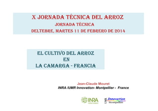 X JORNADA TÉCNICA DEL ARROZ
JORNADA TÉCNICA
DELTEBRE, MARTES 11 DE FEBRERO DE 2014

EL CULTIVO DEL ARROZ
EN
LA CAMARGA - FRANCIA

Jean-Claude Mouret
INRA /UMR Innovation- Montpellier - France

 