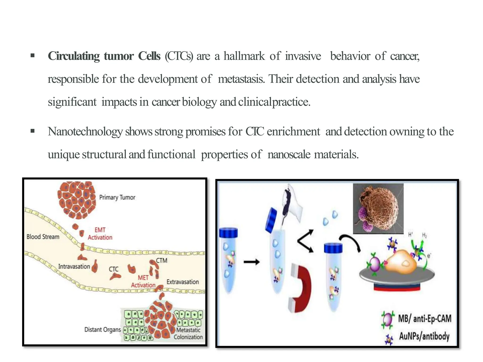  Circulating tumor Cells (CTCs) are a hallmark of invasive behavior of cancer,
responsible for the development of metastasis. Their detection and analysis have
significant impactsin cancerbiology andclinicalpractice.
 Nanotechnologyshowsstrong promisesfor C
T
C enrichment anddetection owning to the
uniquestructuralandfunctional properties of nanoscale materials.
 