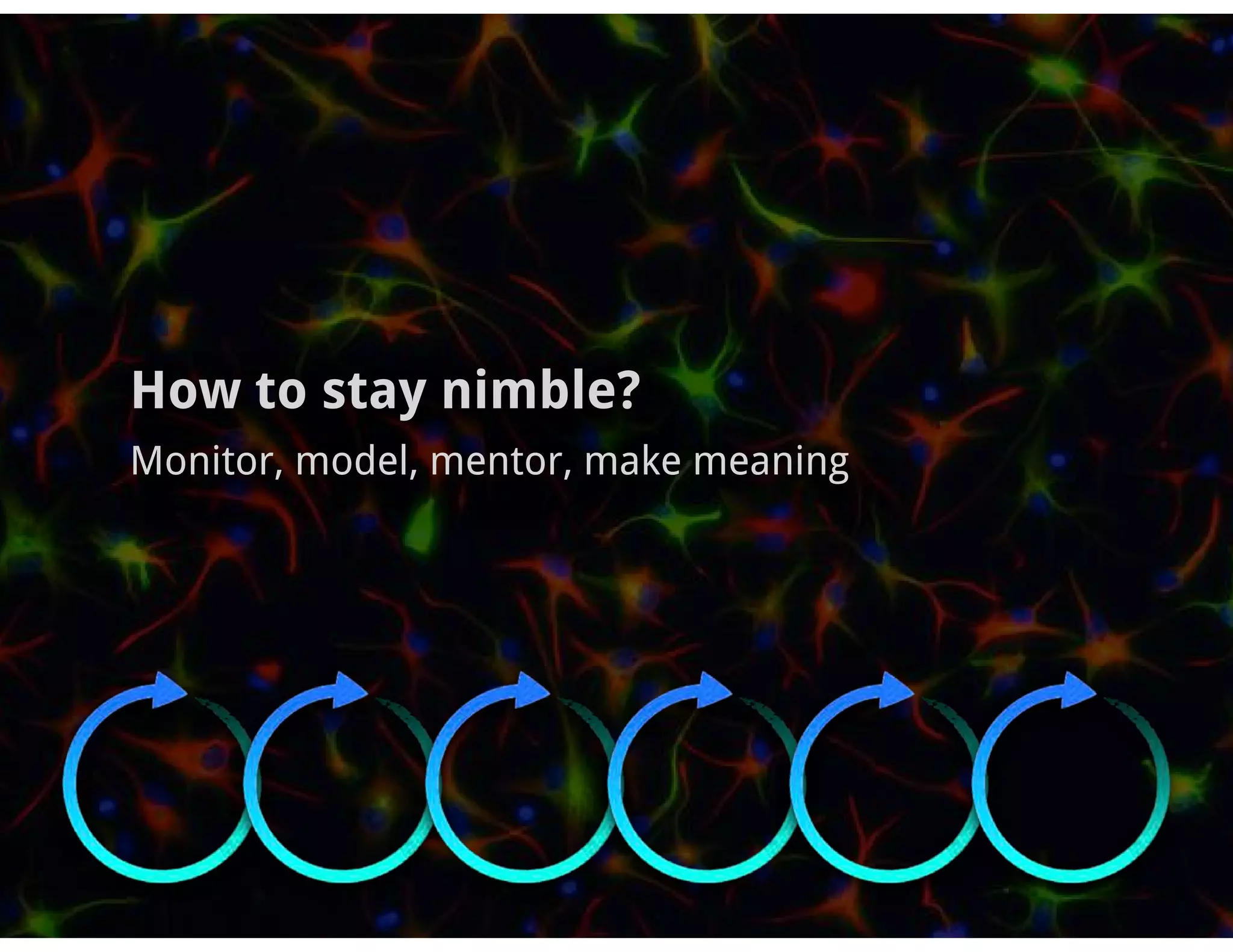 How to stay nimble?
Monitor, model, mentor, make meaning
 