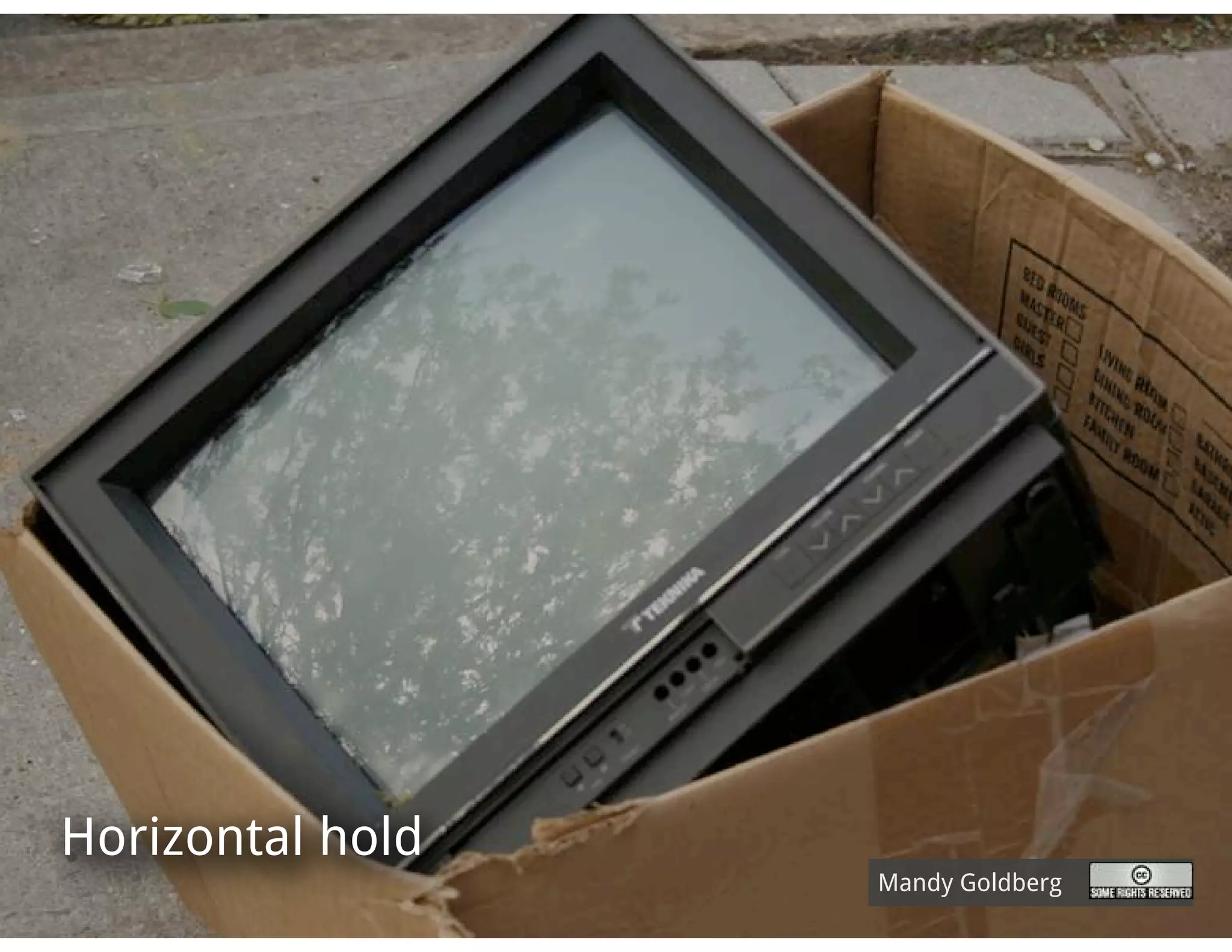 Horizontal hold
                  Mandy Goldberg
 