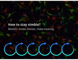 How to stay nimble?
Monitor, model, mentor, make meaning
 
