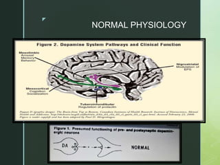 z
NORMAL PHYSIOLOGY
 