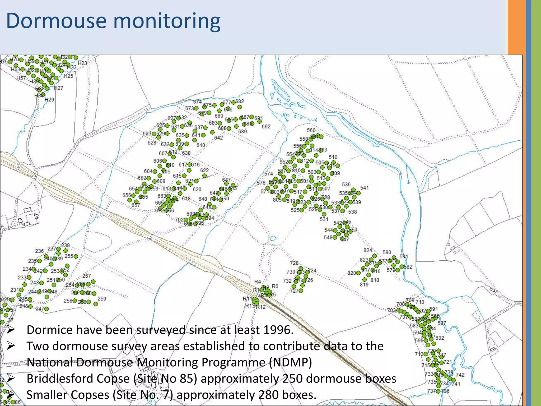 Dormouse monitoring
 Dormice have been surveyed since at least 1996.
 Two dormouse survey areas established to contribute data to the
National Dormouse Monitoring Programme (NDMP)
 Briddlesford Copse (Site No 85) approximately 250 dormouse boxes
 Smaller Copses (Site No. 7) approximately 280 boxes.
 