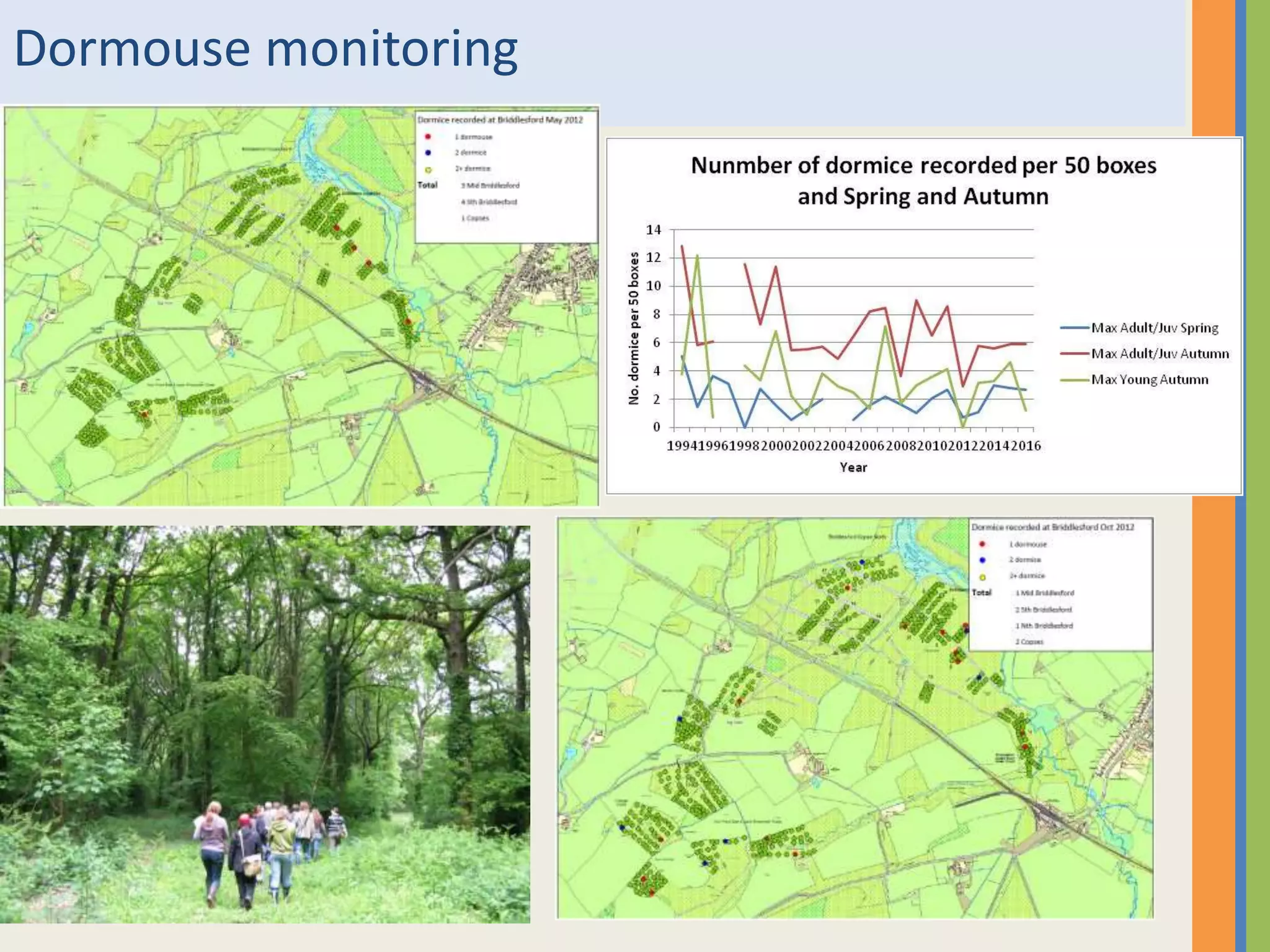 Dormouse monitoring
 