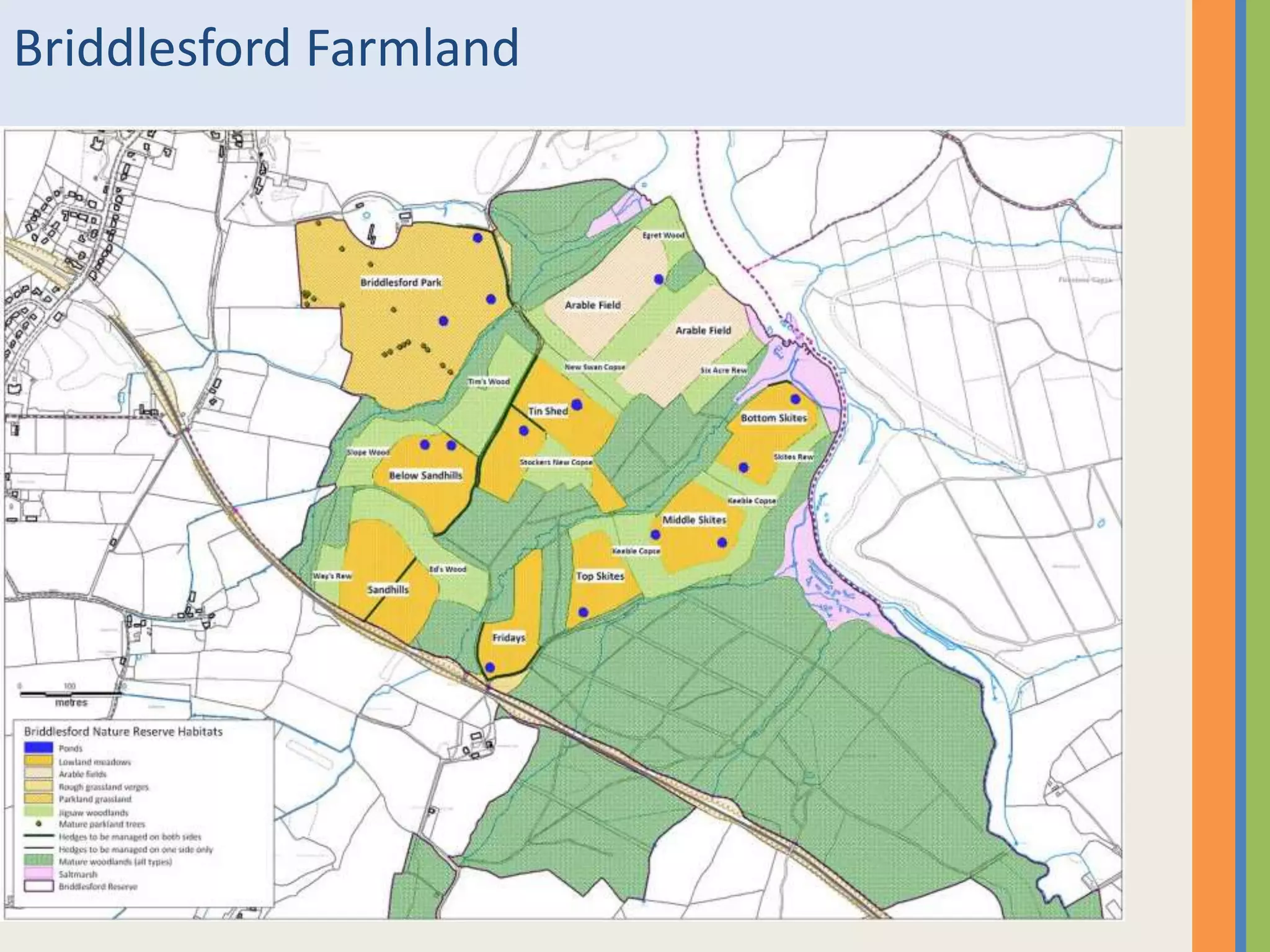 Briddlesford Farmland
 