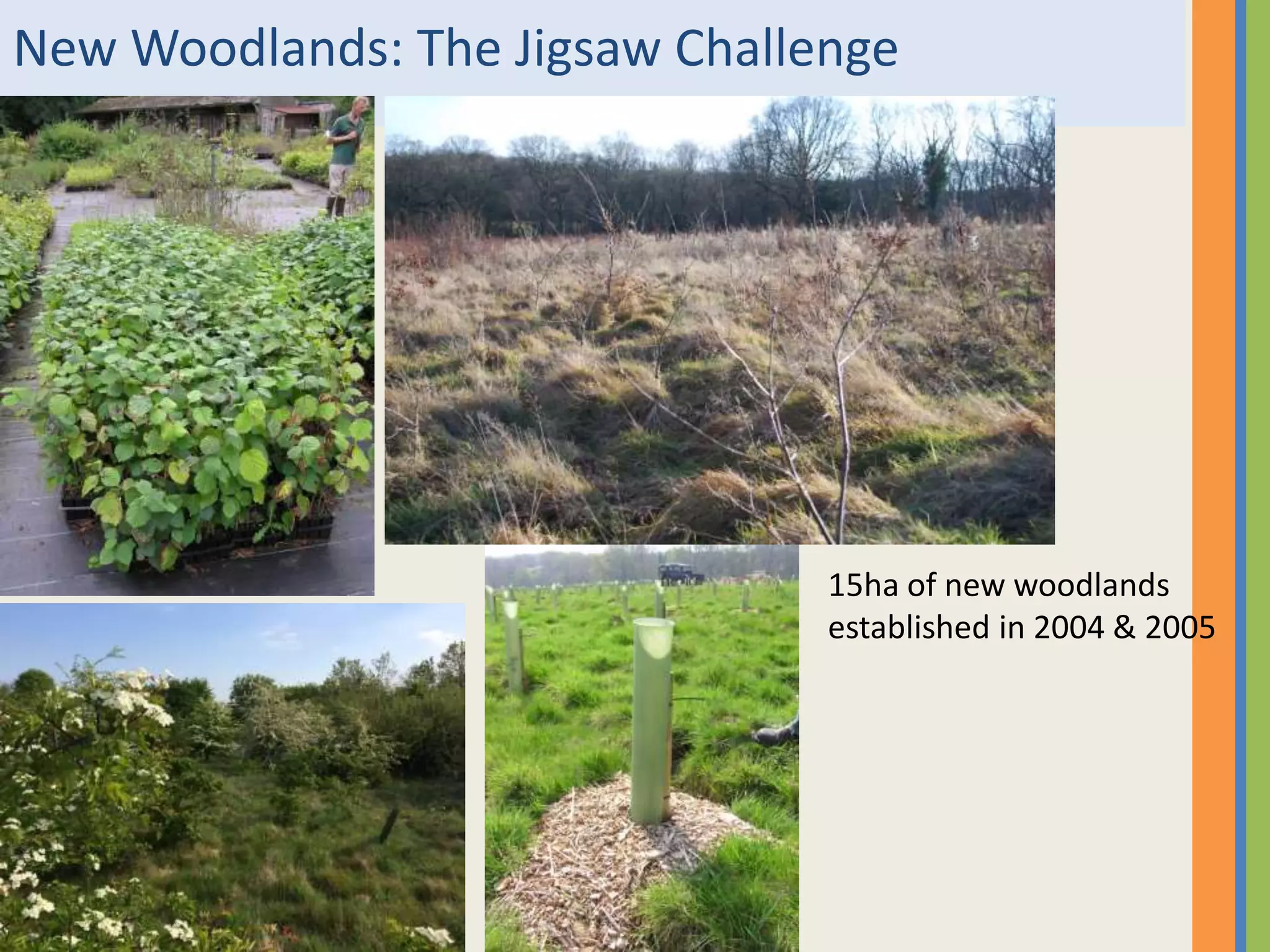New Woodlands: The Jigsaw Challenge
15ha of new woodlands
established in 2004 & 2005
 