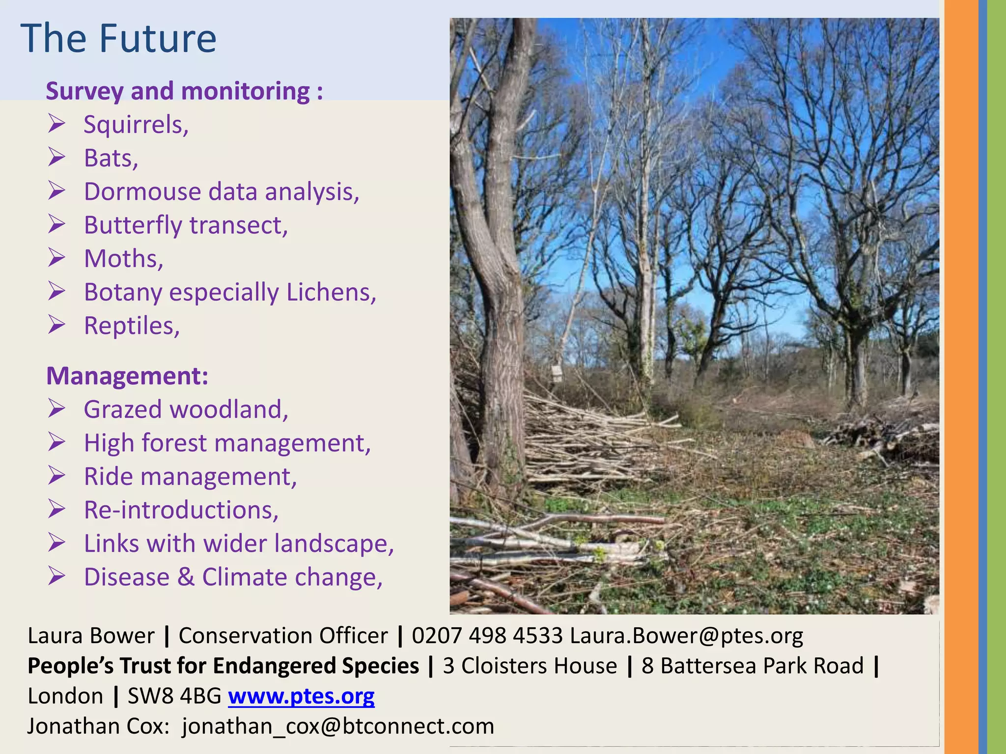 The Future
Survey and monitoring :
 Squirrels,
 Bats,
 Dormouse data analysis,
 Butterfly transect,
 Moths,
 Botany especially Lichens,
 Reptiles,
Management:
 Grazed woodland,
 High forest management,
 Ride management,
 Re-introductions,
 Links with wider landscape,
 Disease & Climate change,
Laura Bower | Conservation Officer | 0207 498 4533 Laura.Bower@ptes.org
People’s Trust for Endangered Species | 3 Cloisters House | 8 Battersea Park Road |
London | SW8 4BG www.ptes.org
Jonathan Cox: jonathan_cox@btconnect.com
 