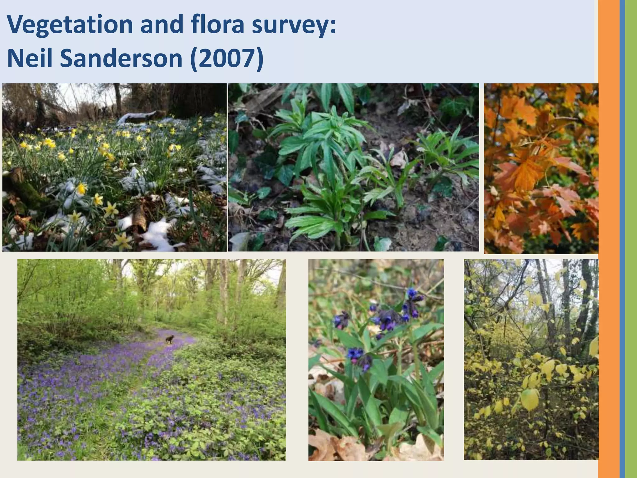 Vegetation and flora survey:
Neil Sanderson (2007)
 