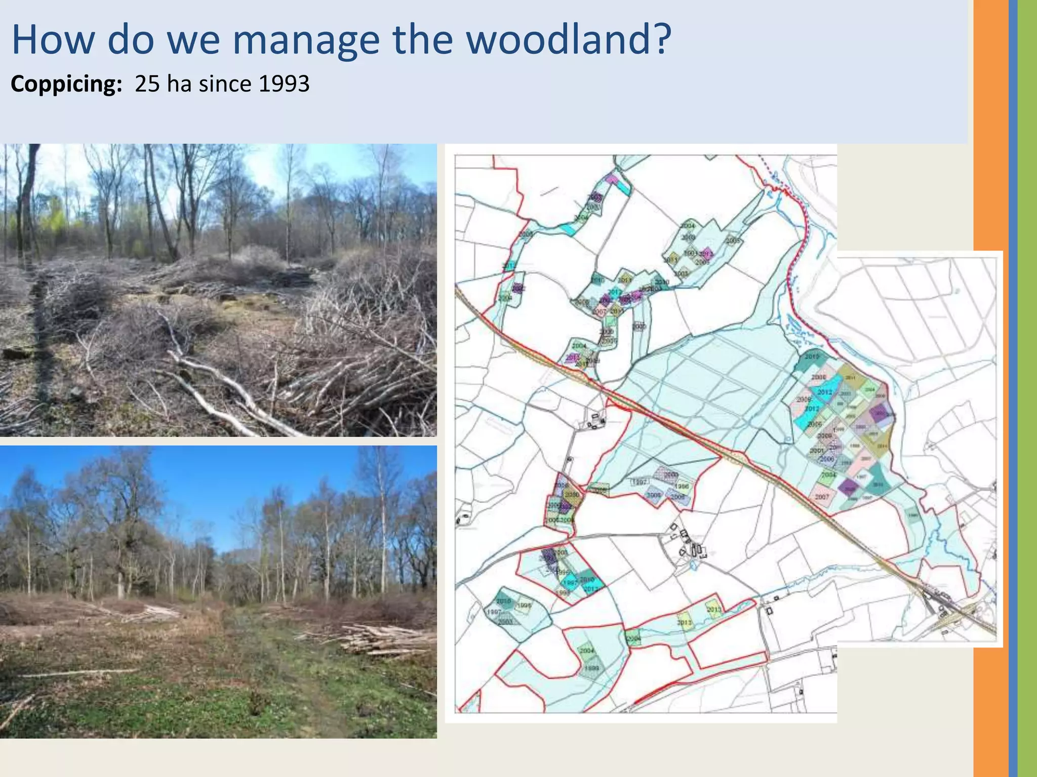 How do we manage the woodland?
Coppicing: 25 ha since 1993
 