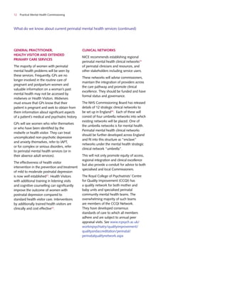 Guidance for commissioners of perinatal mental health services | PDF