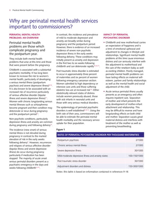 Guidance for commissioners of perinatal mental health services | PDF