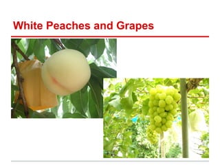 White Peaches and Grapes

 