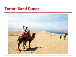 Tottori Sand Dunes

 