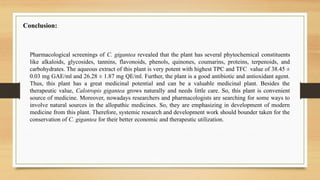 Phytochemical Analysis And Antimicrobial Screening Studies Of ...
