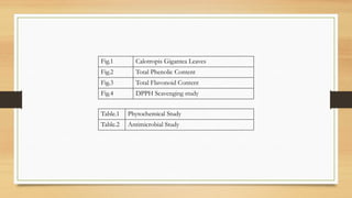 Phytochemical Analysis And Antimicrobial Screening Studies Of ...