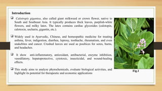 Phytochemical Analysis And Antimicrobial Screening Studies Of ...