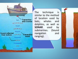 The technique is
similar to the method
of location used by
bats, whales and
dolphins, as well as
SONAR used by
submarines. (Sound
navigation and
ranging).
8
 