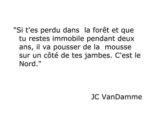 "Si t'es perdu dans  la forêt et que tu restes immobile pendant deux ans, il va pousser de la  mousse sur un côté de tes jambes. C'est le Nord."  JC VanDamme  