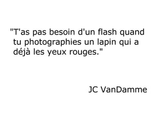 "T'as pas besoin d'un flash quand tu photographies un lapin qui a déjà les yeux rouges."   JC VanDamme  