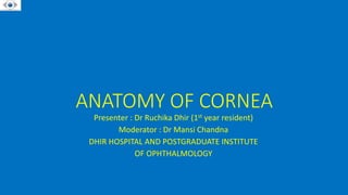 ANATOMY OF CORNEA
Presenter : Dr Ruchika Dhir (1st year resident)
Moderator : Dr Mansi Chandna
DHIR HOSPITAL AND POSTGRADUATE INSTITUTE
OF OPHTHALMOLOGY
 