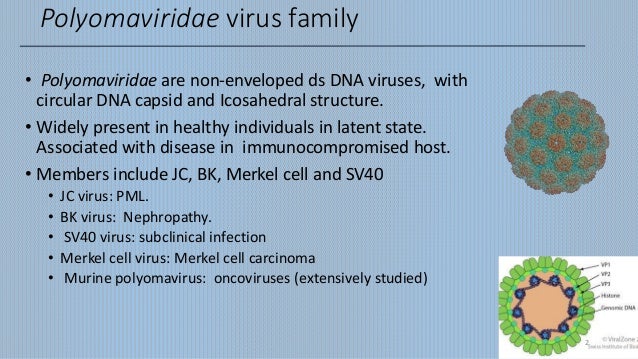 Pathology of JC Virus