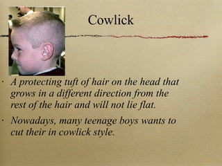 Cowlick A protecting tuft of hair on the head that grows in a different direction from the rest of the hair and will not lie flat. Nowadays, many teenage boys wants to cut their in cowlick style. 