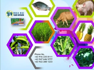 Phone No.
+63 916 235 8111
+63 947 646 5777
+63 922 200 1233
 