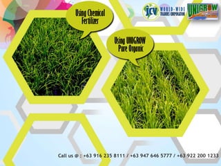 Call us @ : +63 916 235 8111 / +63 947 646 5777 / +63 922 200 1233
 