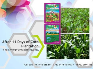 -




After 11 Days of Corn
           Plantation
It really improves plant quality.




                   Call us @ : +63 916 235 8111 / +63 947 646 5777 / +63 922 200 1233
 