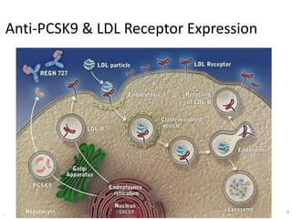 4
Anti-PCSK9 & LDL Receptor Expression
4
 