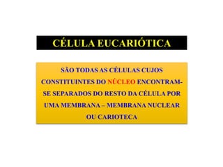 CÉLULA EUCARIÓTICA
SÃO TODAS AS CÉLULAS CUJOS
CONSTITUINTES DO NÚCLEO ENCONTRAM-
SE SEPARADOS DO RESTO DA CÉLULA POR
UMA MEMBRANA – MEMBRANA NUCLEAR
OU CARIOTECA
 