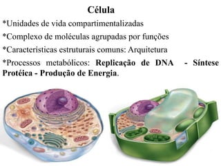 Célula
*Unidades de vida compartimentalizadas
*Complexo de moléculas agrupadas por funções
*Características estruturais comuns: Arquitetura
*Processos metabólicos: Replicação de DNA - Síntese
Protéica - Produção de Energia.
 