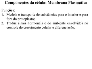 Funções:
1. Medeia o transporte de substâncias para o interior e para
fora do protoplasto;
2. Traduz sinais hormonais e do ambiente envolvidos no
controle do crescimento celular e diferenciação.
Componentes da célula: Membrana Plasmática
 