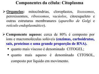  Organelas: mitocôndrias, cloroplastos, lisossomos,
peroxissomos, ribossomos, vacúolos, citoesqueleto e
outras estruturas membranares (aparelho de Golgi e
retículo endoplasmático).
 Componente aquoso: cerca de 80% é composto por
íons e macromoléculas solúveis (enzimas, carboidratos,
sais, proteínas e uma grande proporção de RNA).
 quanto mais viscoso é denominado CITOGEL;
 quanto mais aquoso é denominado CITOSOL,
composto por líquido em movimento.
Componentes da célula: Citoplasma
 