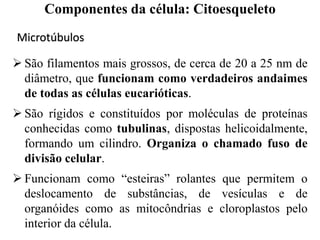  São filamentos mais grossos, de cerca de 20 a 25 nm de
diâmetro, que funcionam como verdadeiros andaimes
de todas as células eucarióticas.
 São rígidos e constituídos por moléculas de proteínas
conhecidas como tubulinas, dispostas helicoidalmente,
formando um cilindro. Organiza o chamado fuso de
divisão celular.
 Funcionam como “esteiras” rolantes que permitem o
deslocamento de substâncias, de vesículas e de
organóides como as mitocôndrias e cloroplastos pelo
interior da célula.
Microtúbulos
Componentes da célula: Citoesqueleto
 