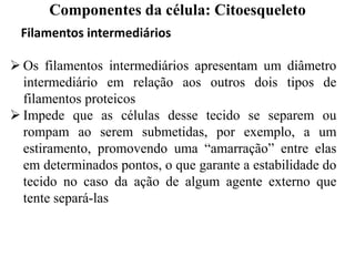Filamentos intermediários
 Os filamentos intermediários apresentam um diâmetro
intermediário em relação aos outros dois tipos de
filamentos proteicos
 Impede que as células desse tecido se separem ou
rompam ao serem submetidas, por exemplo, a um
estiramento, promovendo uma “amarração” entre elas
em determinados pontos, o que garante a estabilidade do
tecido no caso da ação de algum agente externo que
tente separá-las
Componentes da célula: Citoesqueleto
 