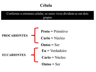Célula
Conforme a estrutura celular, os seres vivos dividem-se em dois
grupos
PROCARIONTES
Proto = Primitivo
Cario = Núcleo
Ontos = Ser
EUCARIONTES
Eu = Verdadeiro
Cario = Núcleo
Ontos = Ser
 