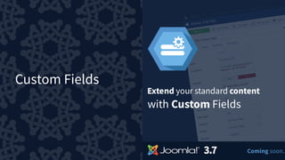 Custom Fields
 