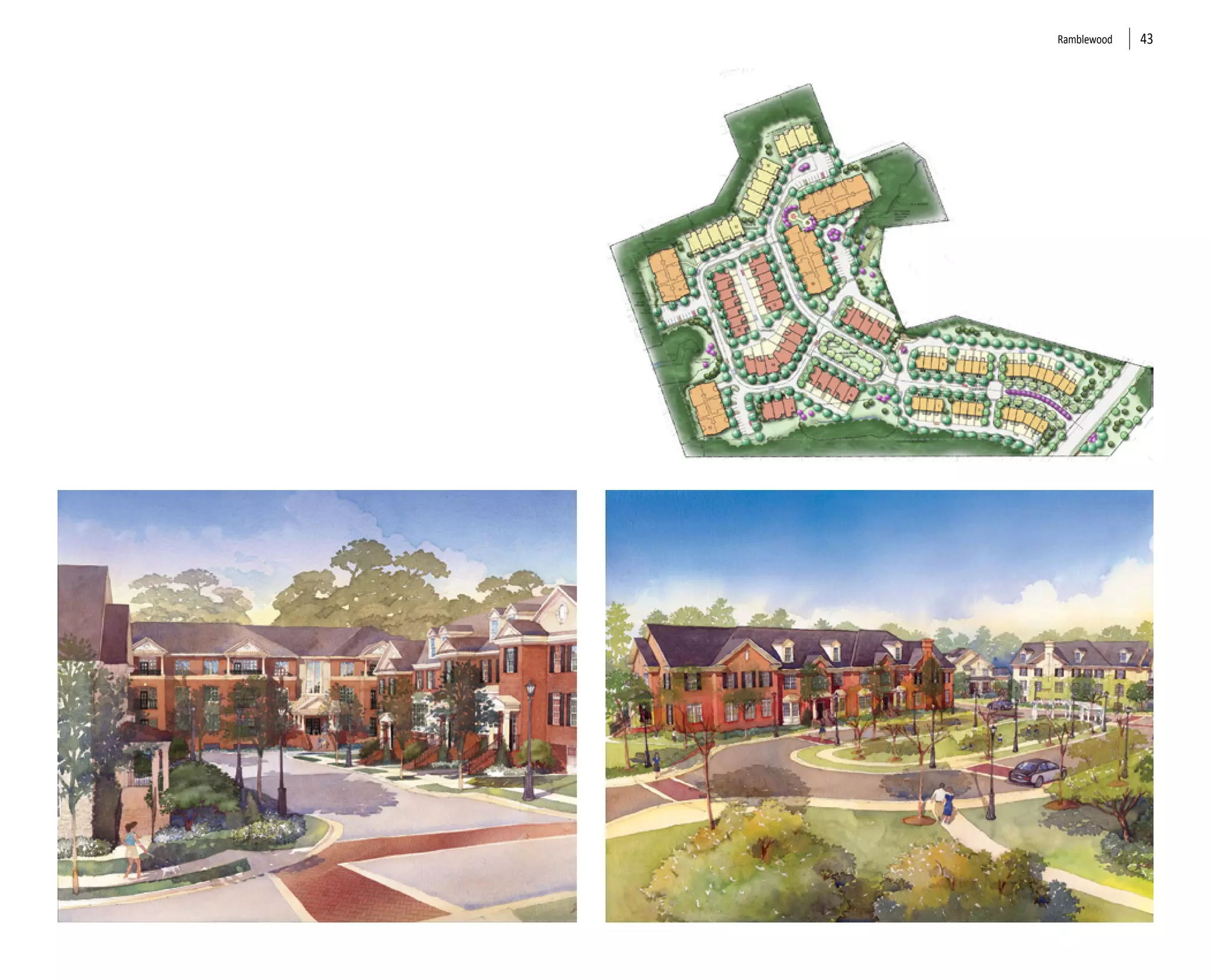 Ramblewood   43
 
