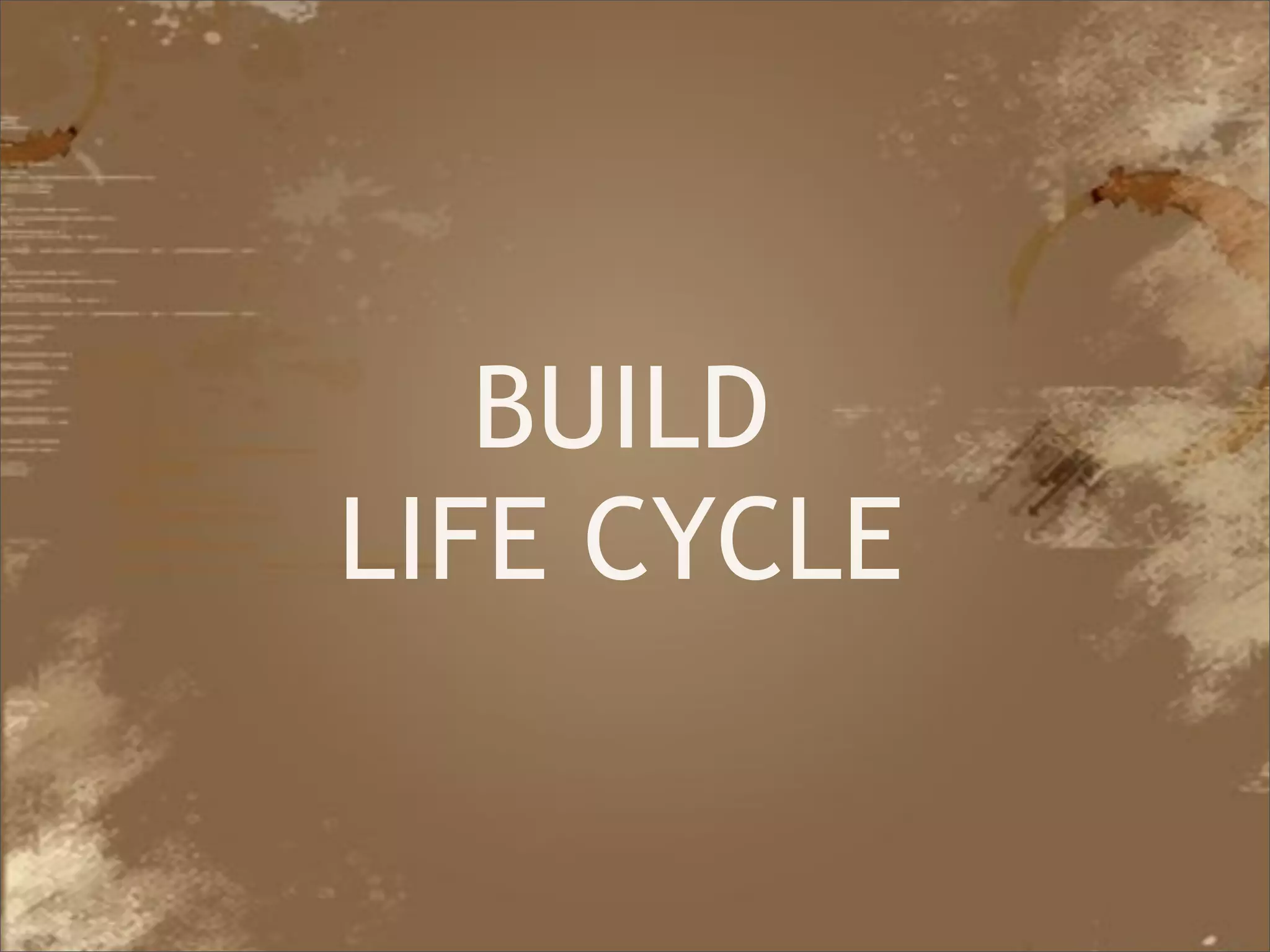 BUILD
            LIFE CYCLE


Java Developer Conference 2010
 
