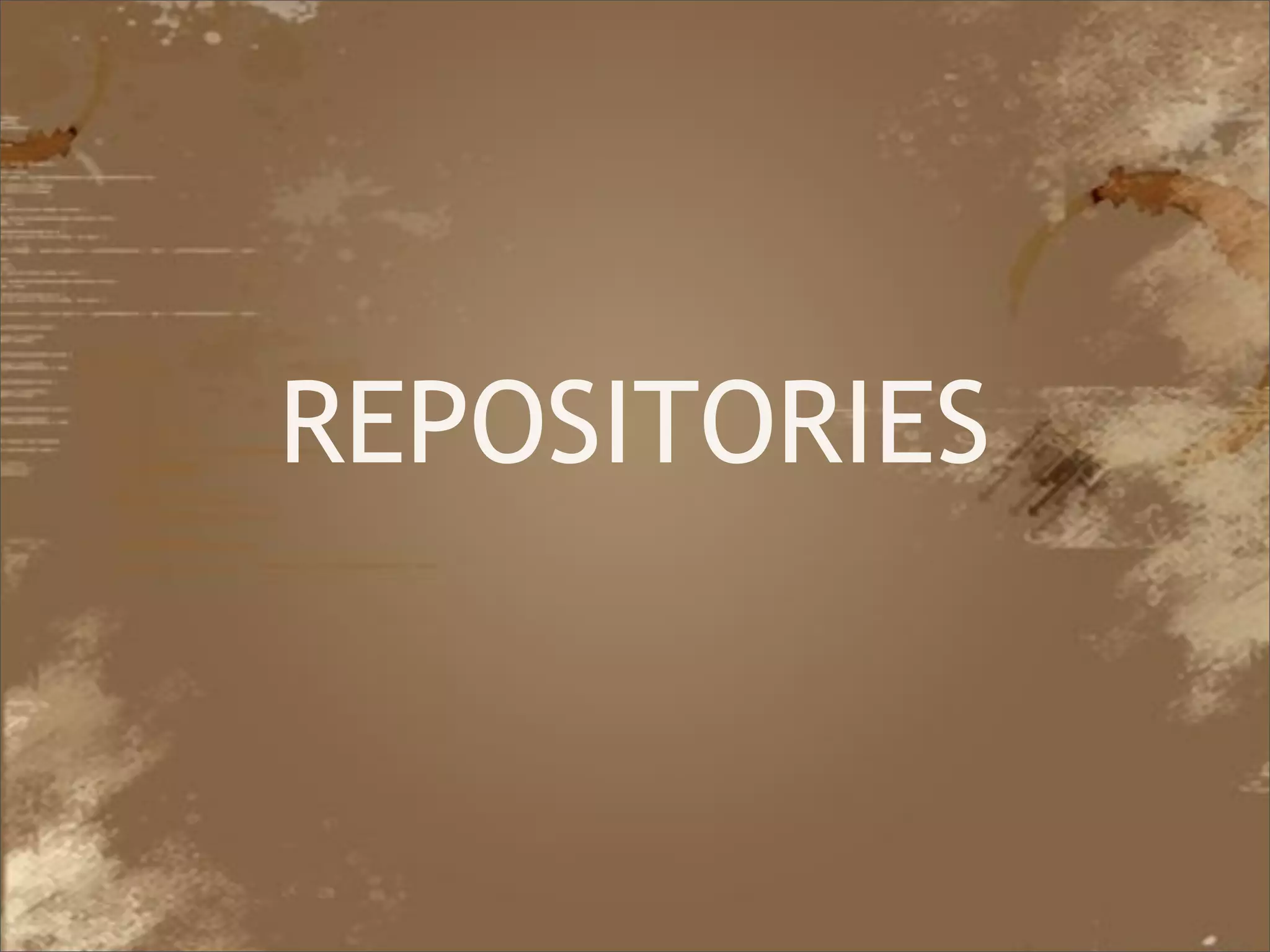 REPOSITORIES



Java Developer Conference 2010
 