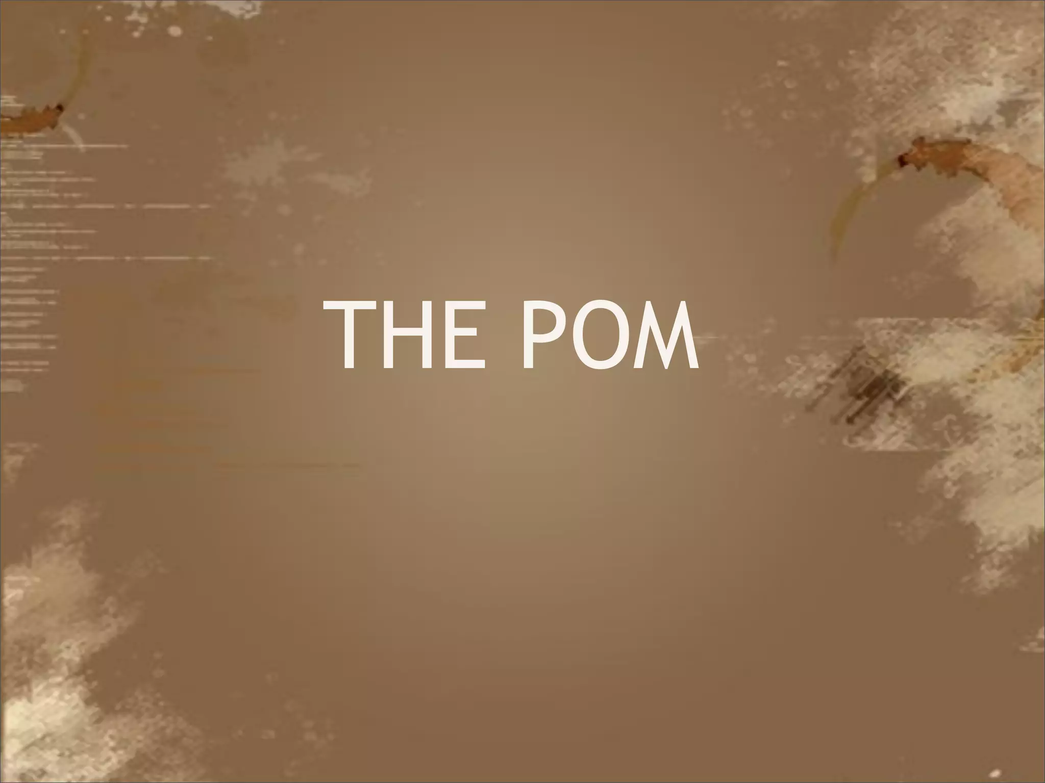 THE POM



Java Developer Conference 2010
 