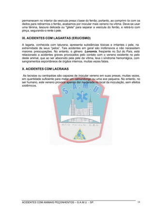 ACIDENTES COM ANIMAIS PEÇONHENTOS – S.A.M.U. - SP. 14
permanecem no interior da vesícula presa à base do ferrão, portanto, ao comprimi-la com os
dedos para retirarmos o ferrão, acabamos por inocular mais veneno na vítima. Deve-se usar
uma lâmina, tesoura delicada ou "gilete" para separar a vesícula do ferrão, e retirá-lo com
pinça, segurando-o rente à pele.
IX. ACIDENTES COM LAGARTAS (ERUCISMO)
A lagarta, conhecida com taturana, apresenta substâncias tóxicas e irritantes à pele, na
extremidade de seus “pelos”. Tais acidentes em geral são inofensivos e não necessitam
maiores preocupações. No entanto, o gênero Lonomia, freqüente no Sul do País, está
relacionado a acidentes graves provocados pelo contato com o veneno existente no pelo
deste animal, que ao ser absorvido pela pele da vítima, leva à síndrome hemorrágica, com
sangramentos espontâneos de órgãos internos, muitas vezes fatais.
X. ACIDENTES COM LACRAIAS
As lacraias ou centopéias são capazes de inocular veneno em suas presas, muitas vezes,
em quantidade suficiente para matar um camundongo ou uma ave pequena. No entanto, no
ser humano, este veneno provoca apenas dor moderada no local da inoculação, sem efeitos
sistêmicos.
 